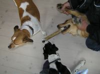 P4230060.JPG - 2006:04:23 17:08:16