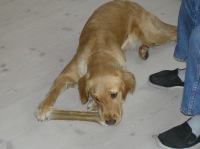 P4230066.JPG - 2006:04:23 17:09:00