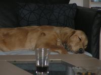 P4230081.JPG - 2006:04:23 17:49:53