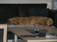 P4230082.JPG - 2006:04:23 17:50:07