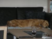 P4230083.JPG - 2006:04:23 17:50:19