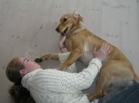 P4300001.JPG - 2006:04:30 10:51:36