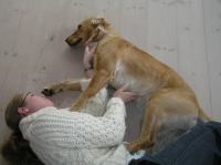 P4300002.JPG - 2006:04:30 10:51:39