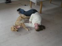 P4300003.JPG - 2006:04:30 10:51:48