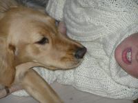 P4300006.JPG - 2006:04:30 10:52:05