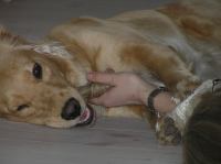 P4300011.JPG - 2006:04:30 10:53:38