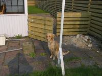 P5060043.JPG - 2006:05:06 17:26:29