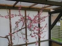 P5060044.JPG - 2006:05:06 17:28:09