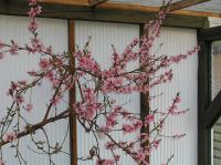 P5060046.JPG - 2006:05:06 17:28:18