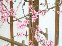 P5060049.JPG - 2006:05:06 17:28:49