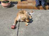 P5130066.JPG - 2006:05:13 10:50:51