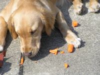 P5130067.JPG - 2006:05:13 10:51:09