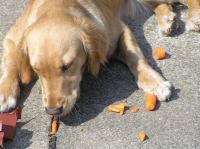 P5130068.JPG - 2006:05:13 10:51:10