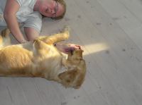 P5130074.JPG - 2006:05:13 18:26:09