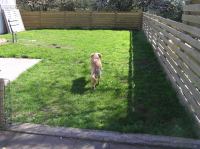 P5140086.JPG - 2006:05:14 09:50:35