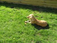 P5140087.JPG - 2006:05:14 09:50:52