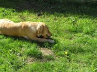 P5140088.JPG - 2006:05:14 09:51:18