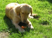 P5140089.JPG - 2006:05:14 09:51:28