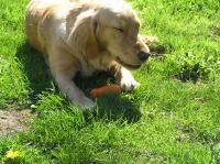 P5140090.JPG - 2006:05:14 09:51:44