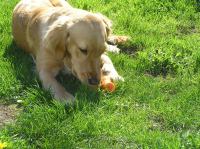 P5140091.JPG - 2006:05:14 09:51:54