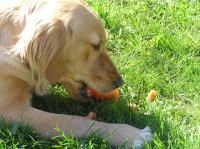 P5140092.JPG - 2006:05:14 09:52:03