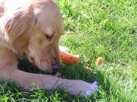 P5140093.JPG - 2006:05:14 09:52:05