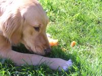 P5140094.JPG - 2006:05:14 09:52:06