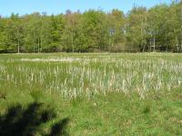 P5140096.JPG - 2006:05:14 14:21:38