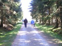 P5140100.JPG - 2006:05:14 14:28:28