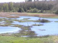 P5140105.JPG - 2006:05:14 14:30:55