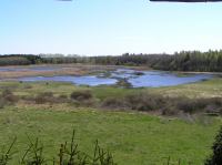 P5140106.JPG - 2006:05:14 14:31:03