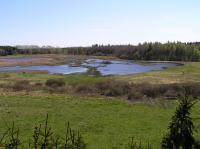 P5140107.JPG - 2006:05:14 14:31:18