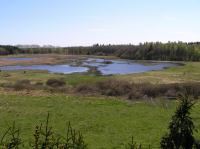 P5140108.JPG - 2006:05:14 14:31:18