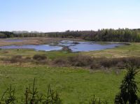 P5140109.JPG - 2006:05:14 14:31:19