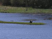 P5140110.JPG - 2006:05:14 14:31:37