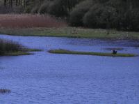 P5140111.JPG - 2006:05:14 14:31:48