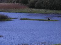 P5140112.JPG - 2006:05:14 14:31:48