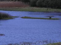 P5140113.JPG - 2006:05:14 14:31:49