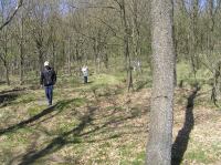 P5140121.JPG - 2006:05:14 14:54:15