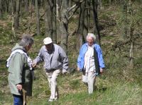 P5140123.JPG - 2006:05:14 14:54:30