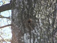 P5140133.JPG - 2006:05:14 15:02:54