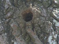 P5140134.JPG - 2006:05:14 15:03:14