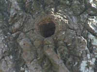 P5140135.JPG - 2006:05:14 15:03:24