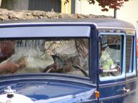 P5200063.JPG - 2006:05:20 14:05:18