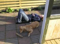 P5250082.JPG - 2006:05:25 19:15:00