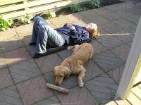 P5250083.JPG - 2006:05:25 19:15:03