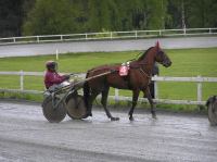 P5300117.JPG - 2006:05:30 19:12:24