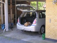 P6040002.JPG - 2006:06:04 11:13:11