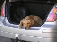 P6040003.JPG - 2006:06:04 11:13:15