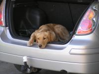 P6040004.JPG - 2006:06:04 11:13:16